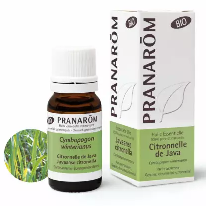 Pranarôm Huile essentielle Citronnelle de Java Bio - 10ml