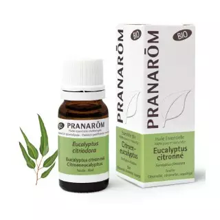 Pranarôm Huile essentielle Eucalyptus citronné Bio - 10ml