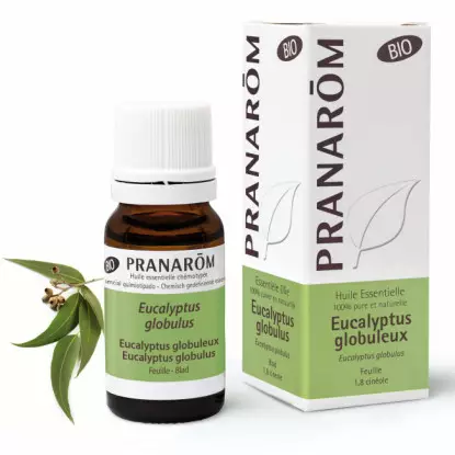 Pranarôm Huile essentielle Eucalyptus globuleux Bio - 10ml