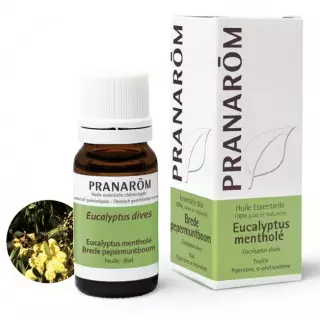 Pranarôm Huile essentielle Eucalyptus mentholé - 10ml