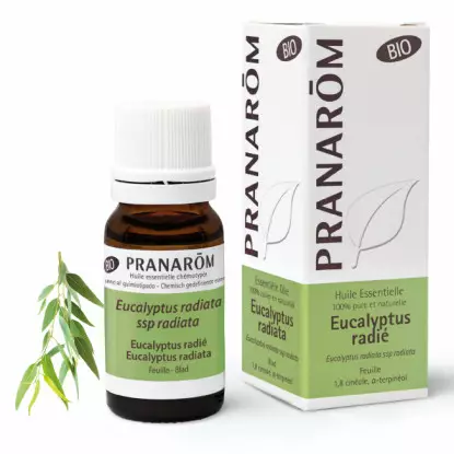 Pranarôm Huile essentielle Eucalyptus radié Bio - 10ml