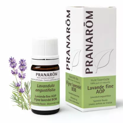 Pranarôm Huile essentielle Lavande fine AOP - 5ml