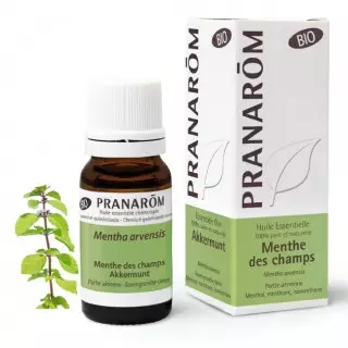 Pranarôm Huile essentielle Menthe des champs Bio - 10ml
