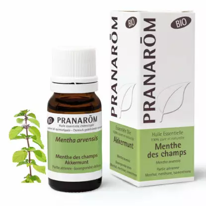 Pranarôm Huile essentielle Menthe des champs Bio - 10ml