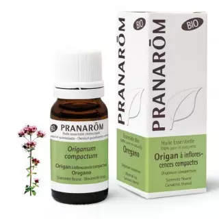 Pranarôm Huile essentielle Origan à inflorescences compactes Bio - 10ml