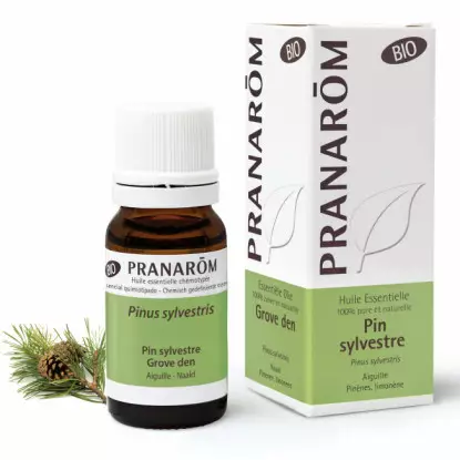 Pranarôm Huile essentielle Pin sylvestre Bio - 10ml