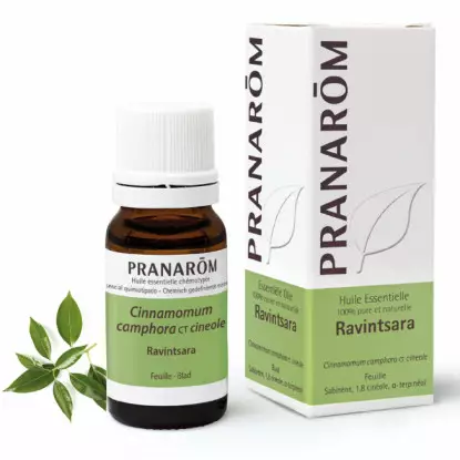 Pranarôm Huile essentielle Ravintsara - 10ml