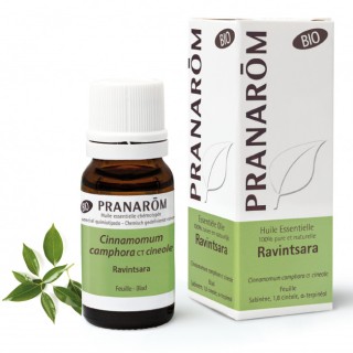 Pranarôm Huile essentielle Ravintsara Bio - 10ml
