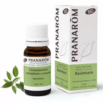 Pranarôm Huile essentielle Ravintsara Bio - 10ml