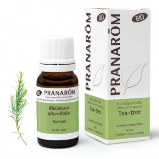 Pranarôm Huile essentielle Tea-tree Bio - 10ml