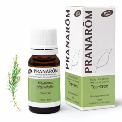 Pranarôm Huile essentielle Tea-tree Bio - 10ml