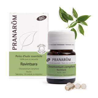 Pranarôm Perles d'huile essentielle Ravintsara Bio - 60 perles