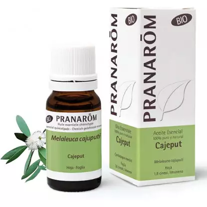 Pranarôm Huile essentielle Cajeput Bio - 10ml
