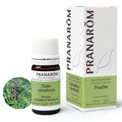 Huile essentielle Pruche de Pranarôm - 5ml