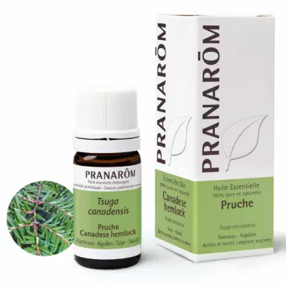 Pranarôm Huile essentielle Pruche - 5ml