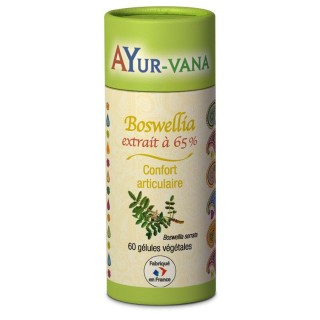 Ayur-Vana Boswellia extrait - 60 gélules