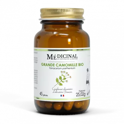 Médiprix Grande Camomille Bio - 45 gélules