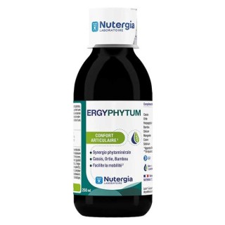 Nutergia Ergyphytum - 250ml