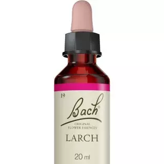 Larch N°19 Fleurs de Bach Original - Sûreté - 20ml