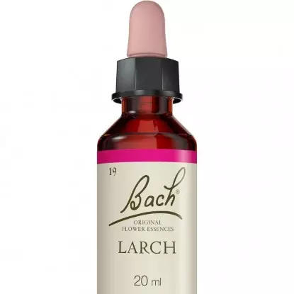 Larch N°19 Fleurs de Bach Original - Sûreté - 20ml