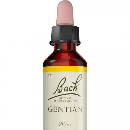 Gentian N°12 Fleurs de Bach Original - Persévérance - 20ml