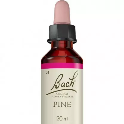 Pine N°24 Fleurs de Bach Original - Estime de soi - 20ml