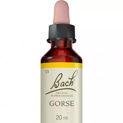 Gorse N°13 Fleurs de Bach Original - Espoir - 20ml