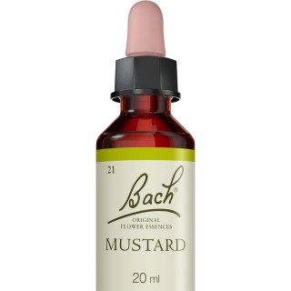 Mustard N°21 Fleurs de Bach Original - Stabilité - 20ml