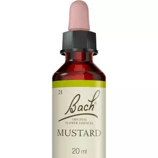 Mustard N°21 Fleurs de Bach Original - Stabilité - 20ml