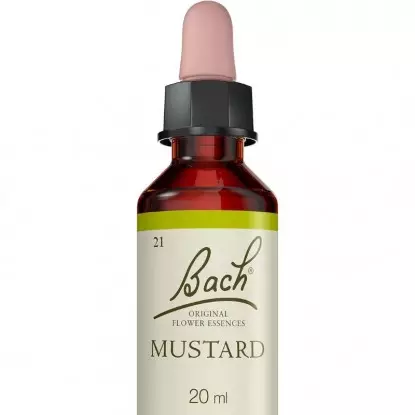Mustard N°21 Fleurs de Bach Original - Stabilité - 20ml