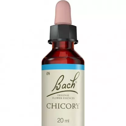 Chicory N°8 Fleurs de Bach Original - Générosité - 20ml