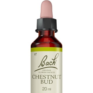 Chestnut Bud N°7 Fleurs de Bach Original - Sagesse - 20ml