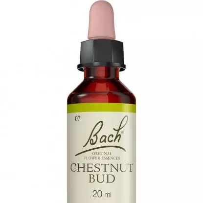 Chestnut Bud N°7 Fleurs de Bach Original - Sagesse - 20ml