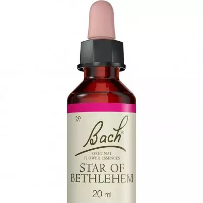 Star of Bethlehem N°29 Fleurs de Bach Original - Réconfort - 20ml