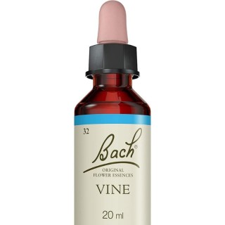 Vine N°32 Fleurs de Bach Original - Respect - 20ml