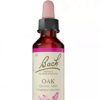 Oak N°22 Fleurs de Bach Original - Prise de recul - 20ml