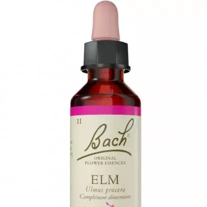 Elm N°11 Fleurs de Bach Original - Assurance naturelle - 20ml