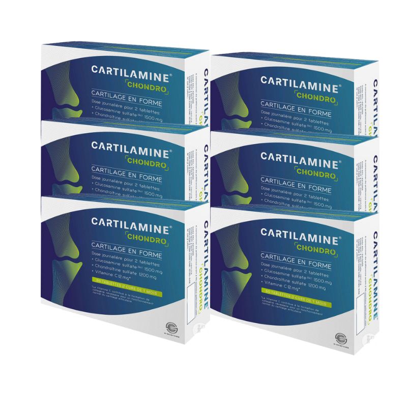 E-Sciences Cartilamine Chondro - 6 x 60 tablettes