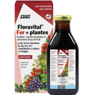 Floradix Fer + Plantes Salus - Défenses naturelles - 250ml