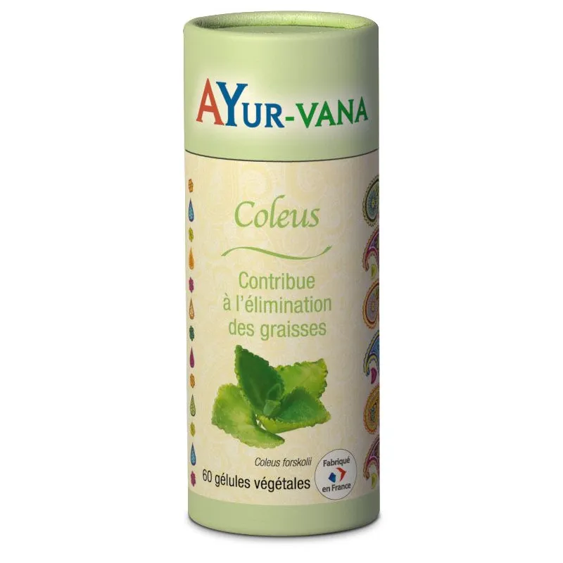 Coleus élimination des graisses Ayur-Vana - 10 % de forskoline - 60 gélules