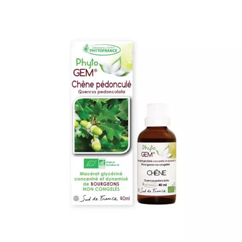 Chêne pédonculé Bio PhytoGem Phytofrance - Santé respiratoire - 40ml