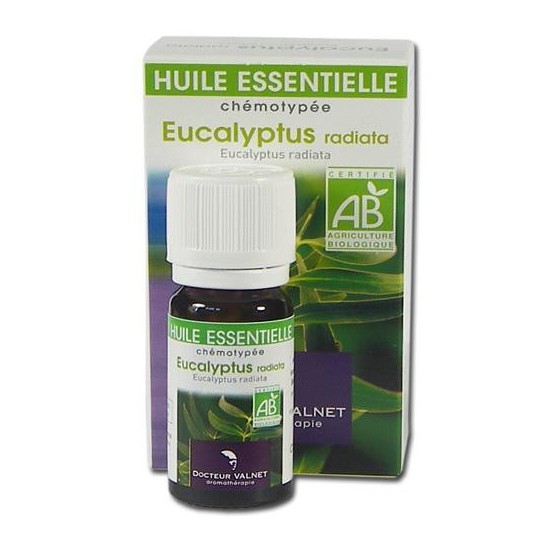 eucalyptus radiata huile essentielle bio Valnet 10ml
