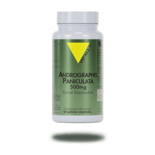 Andrographis paniculata 500mg Vitall+ - Confort respiratoire - 60 gélules