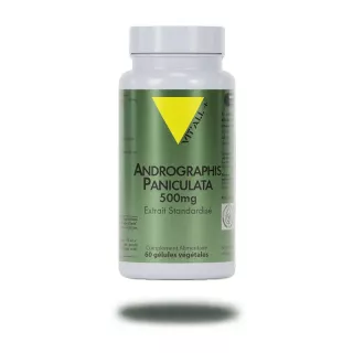 Andrographis paniculata 500mg Vitall+ - Confort respiratoire - 60 gélules