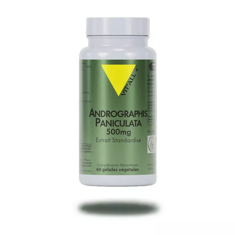 Andrographis paniculata 500mg Vitall+ - Confort respiratoire - 60 gélules