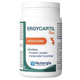 Ergycartil flex articulation 90 gélules