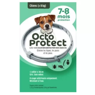 Collier antiparasitaire chiens - de 8 kg Octo Protect Elanco - 7 à 8 mois de protection - 1 collier