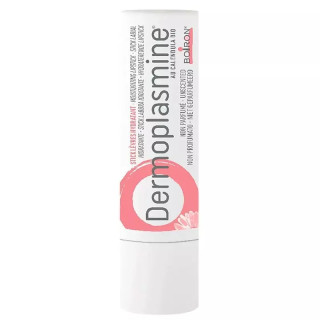 Stick lèvres hydratant Dermoplasmine® Boiron - Lèvres sensibles et fragilisées - 4g
