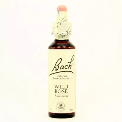 Fleurs de Bach Wild Rose 20ml