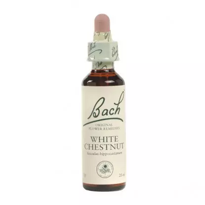 Fleur de Bach White Chestnut 20ml